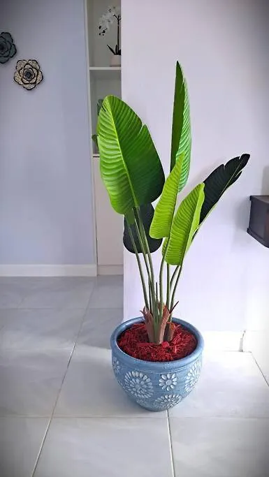 Bahia 128 Βίλα Discovery Bay